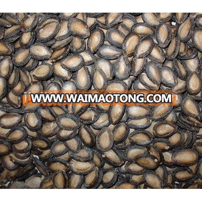 Top quality red &black watermelon seeds